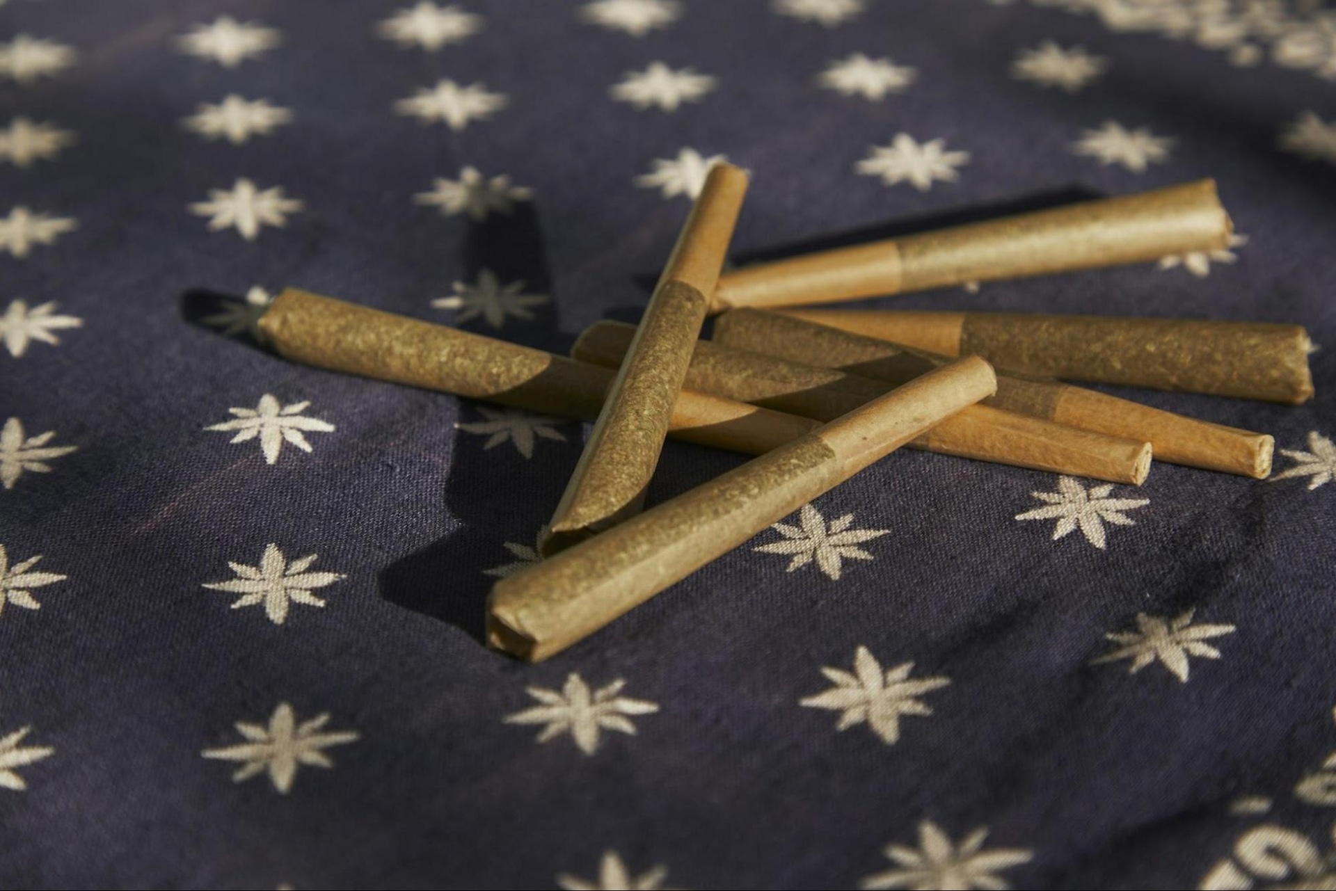 Experience Smooth, Potent Rolls – THC infused cannabis pre-Rolls Europe