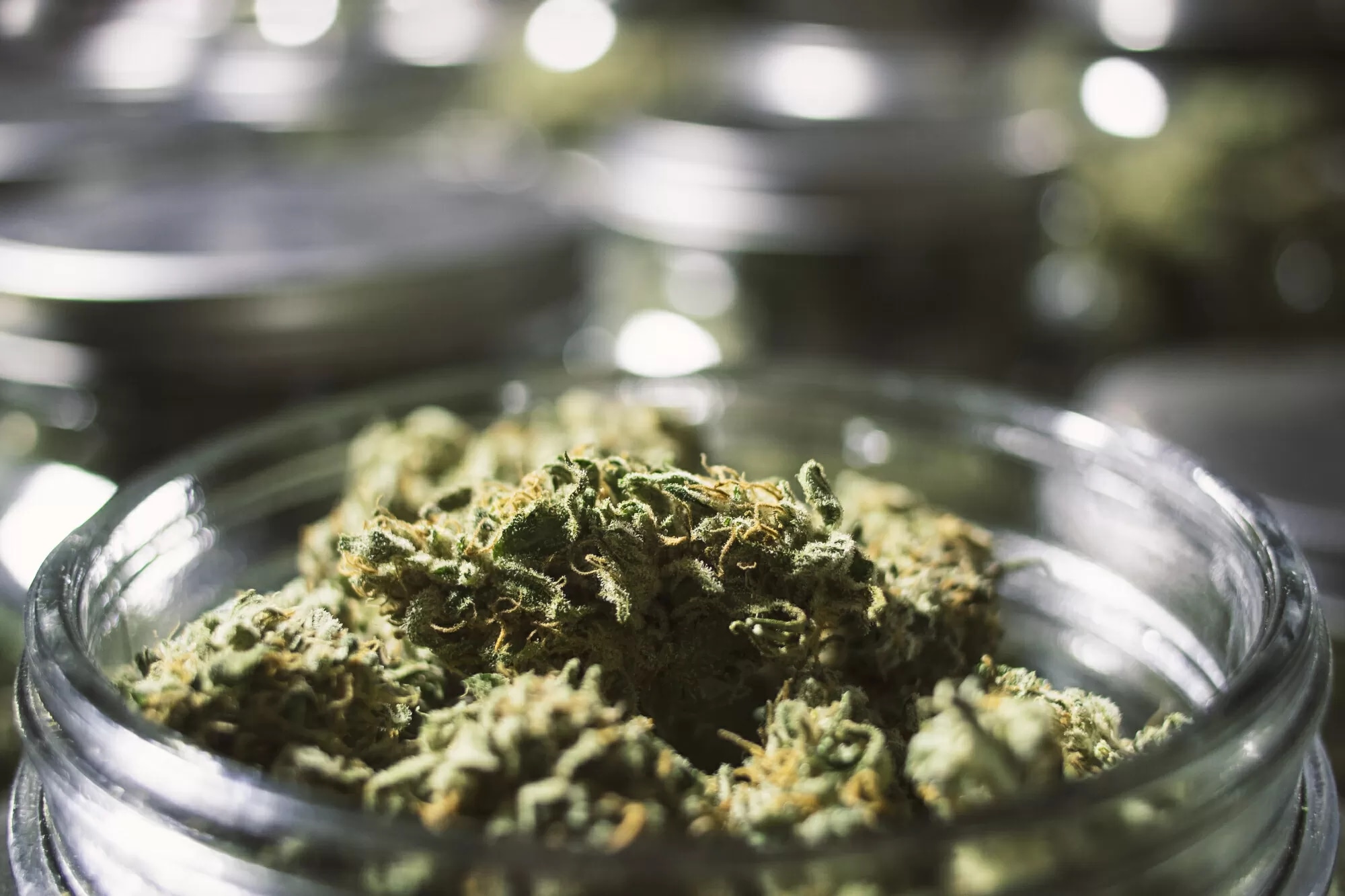 Buy Marijuana Online Europe for Indica, Sativa & Hybrid Strains