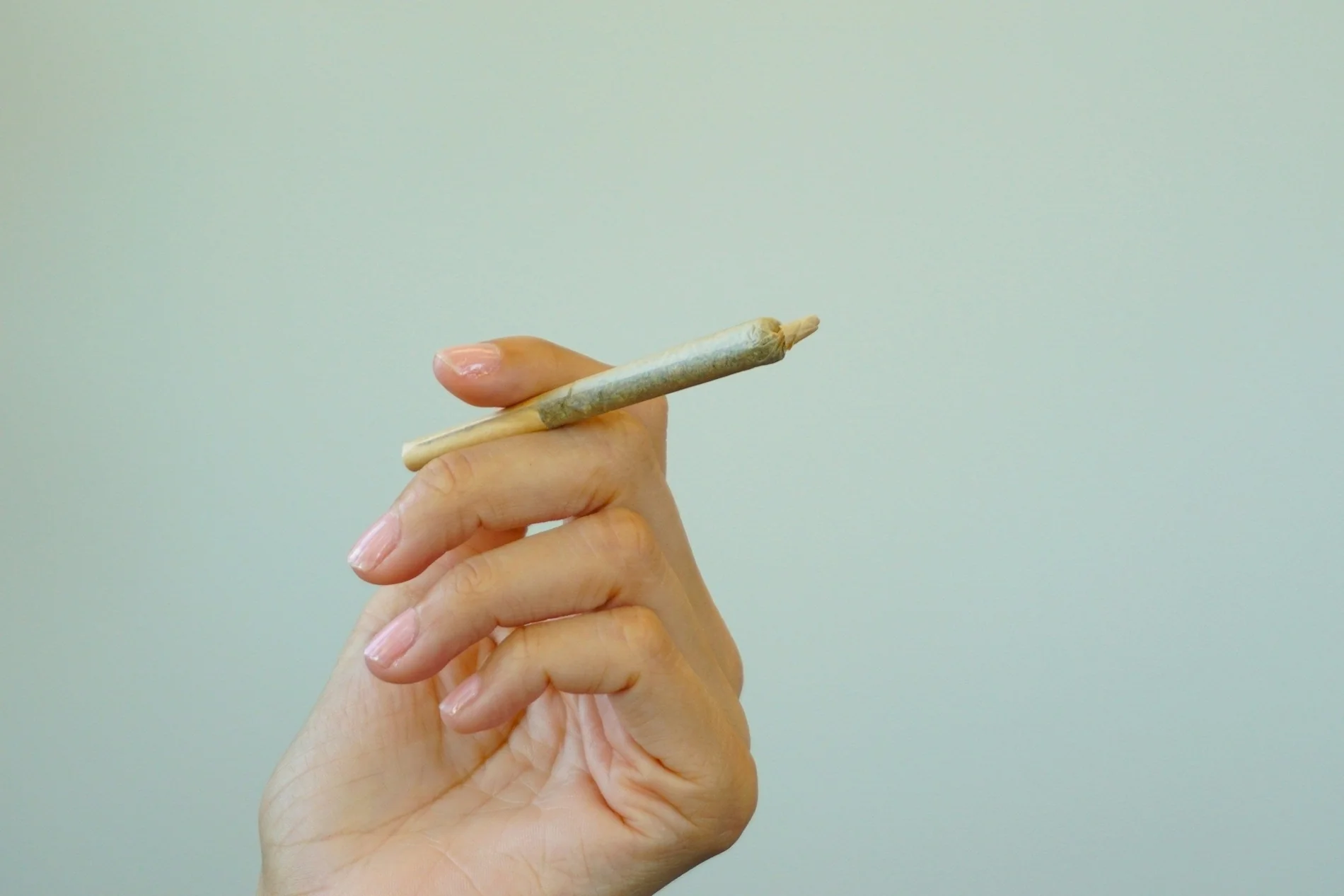 Experience Smooth, Potent Rolls – THC infused cannabis pre-Rolls Europe